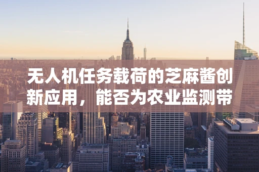 无人机任务载荷的芝麻酱创新应用，能否为农业监测带来新风味？