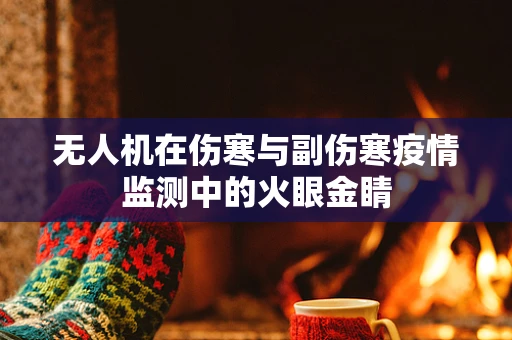 无人机在伤寒与副伤寒疫情监测中的火眼金睛