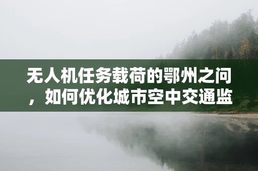 无人机任务载荷的鄂州之问，如何优化城市空中交通监控？