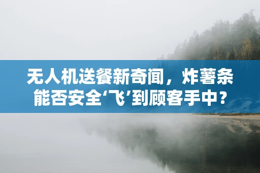 无人机送餐新奇闻，炸薯条能否安全‘飞’到顾客手中？