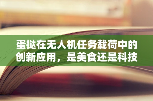 蛋挞在无人机任务载荷中的创新应用，是美食还是科技新宠？