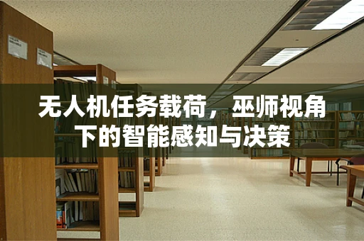 无人机任务载荷，巫师视角下的智能感知与决策
