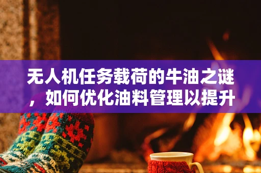 无人机任务载荷的牛油之谜，如何优化油料管理以提升飞行效率？