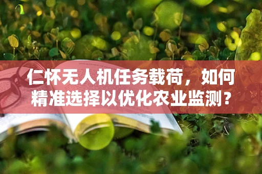 仁怀无人机任务载荷，如何精准选择以优化农业监测？