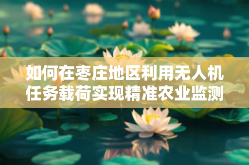 如何在枣庄地区利用无人机任务载荷实现精准农业监测？