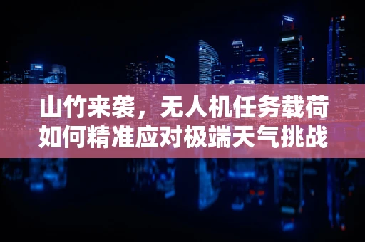 山竹来袭，无人机任务载荷如何精准应对极端天气挑战？