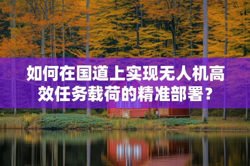 如何在国道上实现无人机高效任务载荷的精准部署？