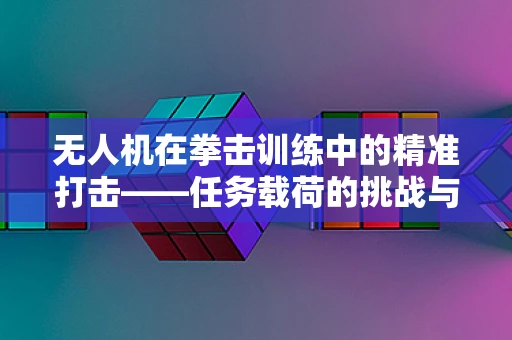 无人机在拳击训练中的精准打击——任务载荷的挑战与机遇