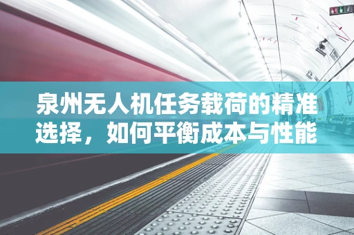 泉州无人机任务载荷的精准选择，如何平衡成本与性能？