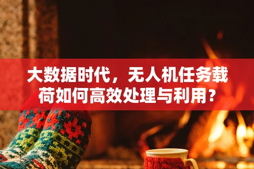 大数据时代，无人机任务载荷如何高效处理与利用？