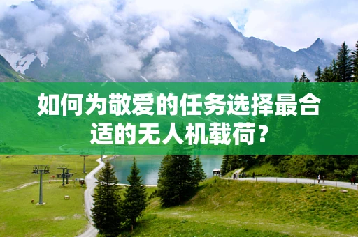 如何为敬爱的任务选择最合适的无人机载荷？