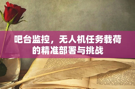 吧台监控，无人机任务载荷的精准部署与挑战