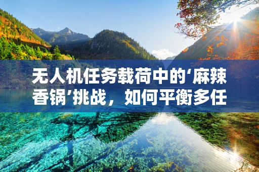 无人机任务载荷中的‘麻辣香锅’挑战，如何平衡多任务与精准控制？