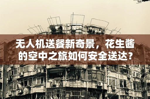 无人机送餐新奇景，花生酱的空中之旅如何安全送达？