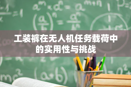 工装裤在无人机任务载荷中的实用性与挑战