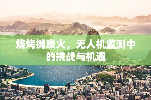 烧烤摊炭火，无人机监测中的挑战与机遇