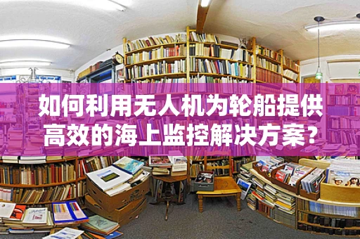 如何利用无人机为轮船提供高效的海上监控解决方案？