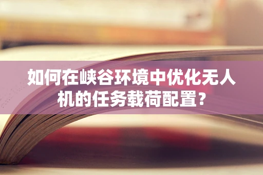 如何在峡谷环境中优化无人机的任务载荷配置？