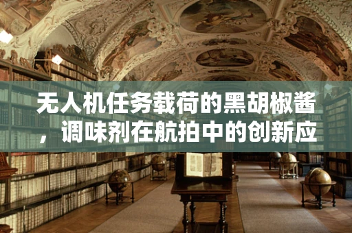 无人机任务载荷的黑胡椒酱，调味剂在航拍中的创新应用？