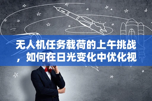 无人机任务载荷的上午挑战，如何在日光变化中优化视觉识别性能？