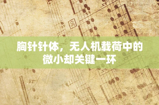 胸针针体，无人机载荷中的微小却关键一环