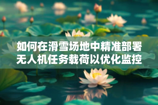 如何在滑雪场地中精准部署无人机任务载荷以优化监控与救援效率？