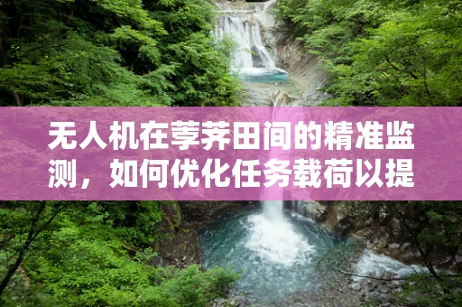 无人机在荸荠田间的精准监测，如何优化任务载荷以提升作物健康评估？