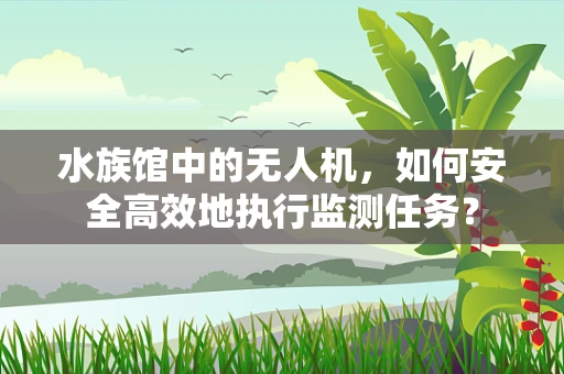 水族馆中的无人机，如何安全高效地执行监测任务？