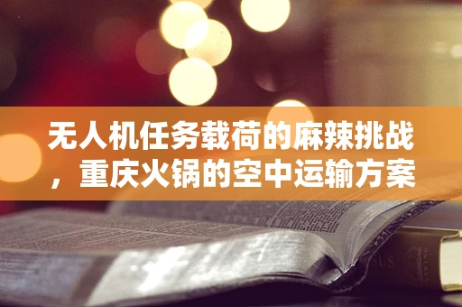 无人机任务载荷的麻辣挑战，重庆火锅的空中运输方案探讨