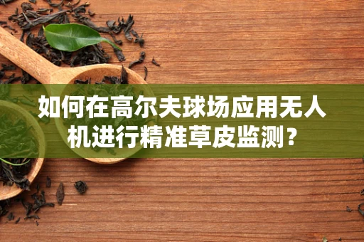 如何在高尔夫球场应用无人机进行精准草皮监测？
