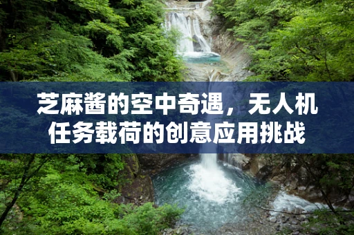 芝麻酱的空中奇遇，无人机任务载荷的创意应用挑战