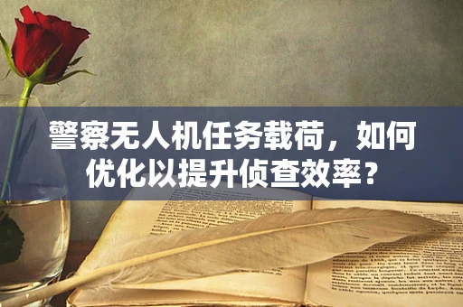 警察无人机任务载荷，如何优化以提升侦查效率？