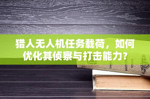 猎人无人机任务载荷，如何优化其侦察与打击能力？
