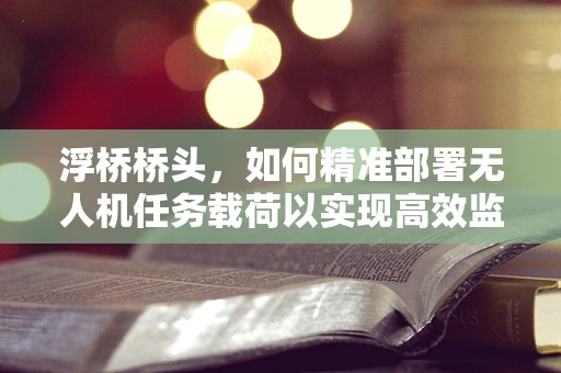 浮桥桥头，如何精准部署无人机任务载荷以实现高效监测？