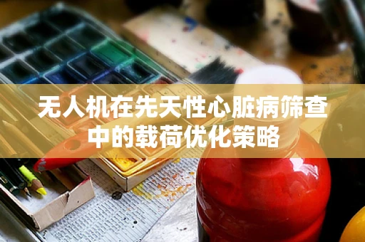 无人机在先天性心脏病筛查中的载荷优化策略
