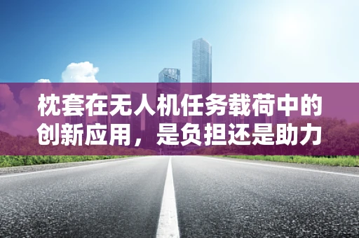 枕套在无人机任务载荷中的创新应用，是负担还是助力？