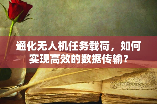 通化无人机任务载荷，如何实现高效的数据传输？