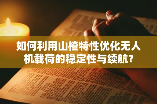 如何利用山楂特性优化无人机载荷的稳定性与续航？