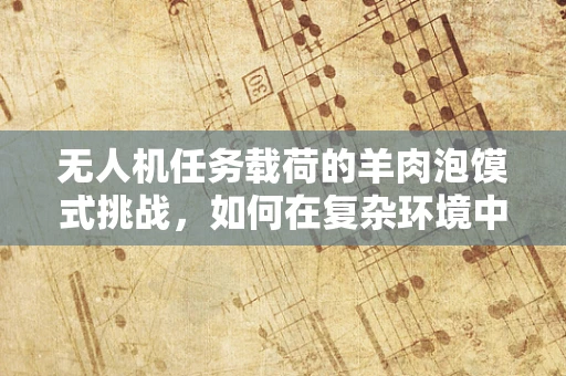 无人机任务载荷的羊肉泡馍式挑战，如何在复杂环境中保持稳定与精准？