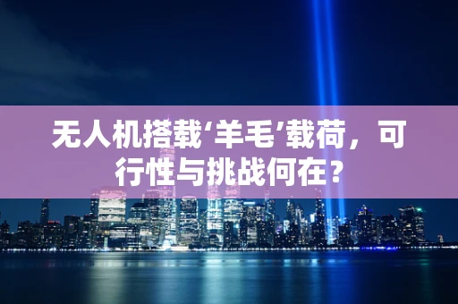 无人机搭载‘羊毛’载荷，可行性与挑战何在？