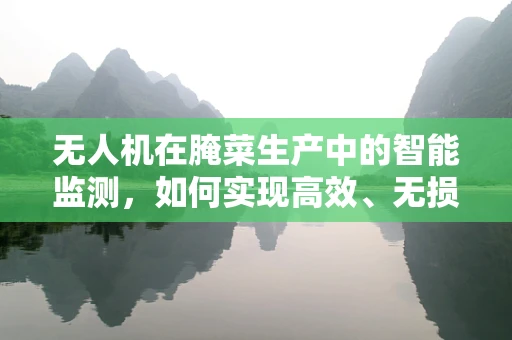 无人机在腌菜生产中的智能监测，如何实现高效、无损的监控？