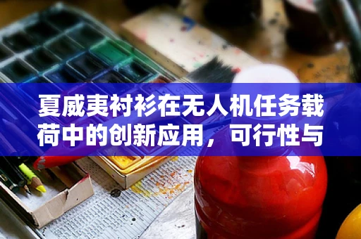 夏威夷衬衫在无人机任务载荷中的创新应用，可行性与挑战何在？
