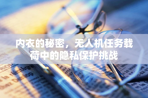 内衣的秘密，无人机任务载荷中的隐私保护挑战