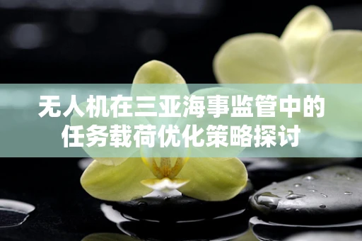 无人机在三亚海事监管中的任务载荷优化策略探讨