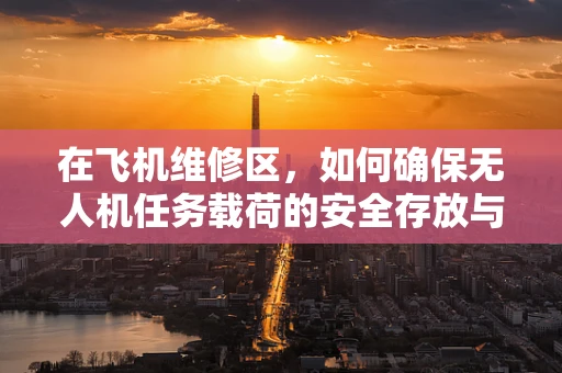 在飞机维修区，如何确保无人机任务载荷的安全存放与维护？