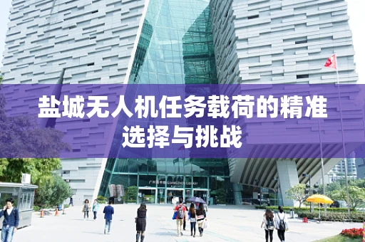盐城无人机任务载荷的精准选择与挑战
