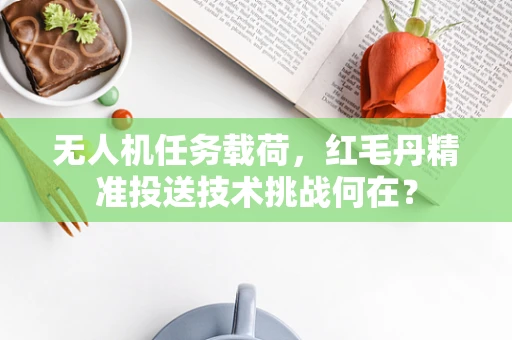 无人机任务载荷，红毛丹精准投送技术挑战何在？