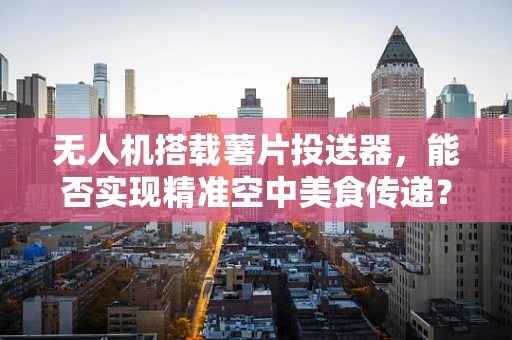 无人机搭载薯片投送器，能否实现精准空中美食传递？