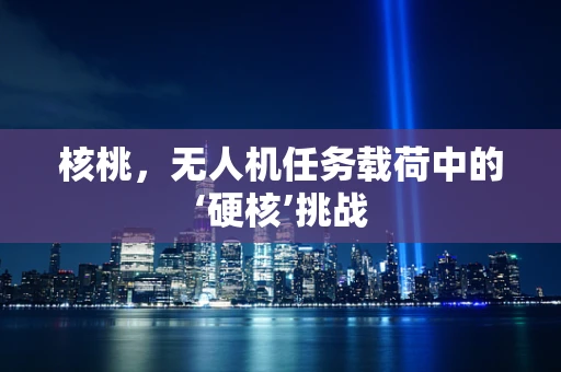 核桃，无人机任务载荷中的‘硬核’挑战