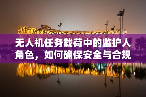 无人机任务载荷中的监护人角色，如何确保安全与合规？